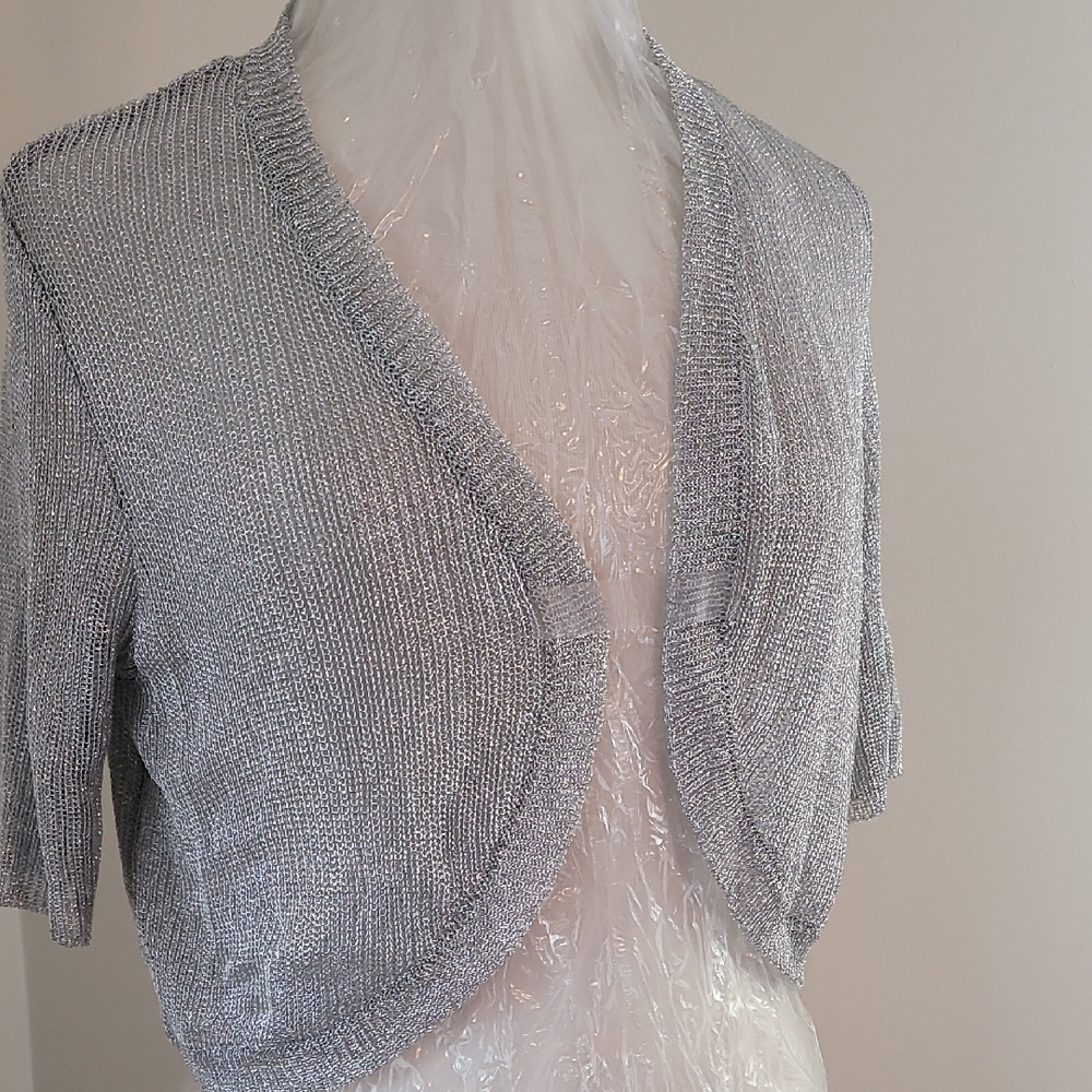 Elegant Silver Women's Sweater